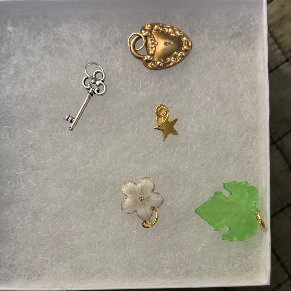 Gold and Silver Charm Set